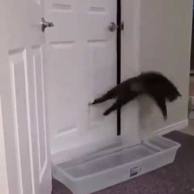 "I have accepted your challenge, human."