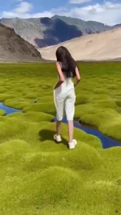 ? Moss mounds in geothermal belt of Puga valley, Ladakh, India
