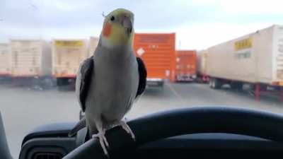 He was overjoyed until he saw the truck.