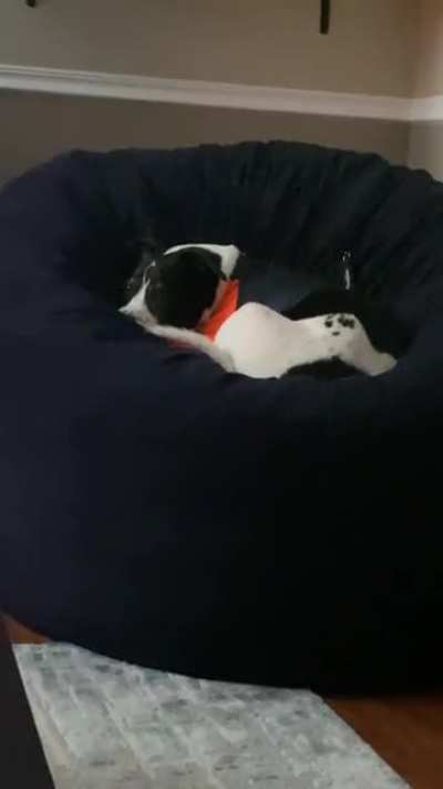 Here’s another hissy fit for not getting attention ? (sound should be up)