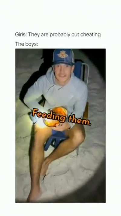 Feed them