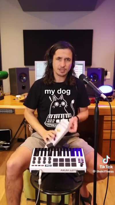 ? they're eating the dogs, they're eating the cats ?