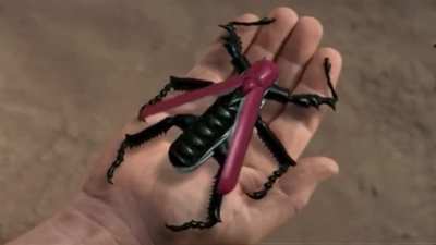 Versatile Swiss Army Knife