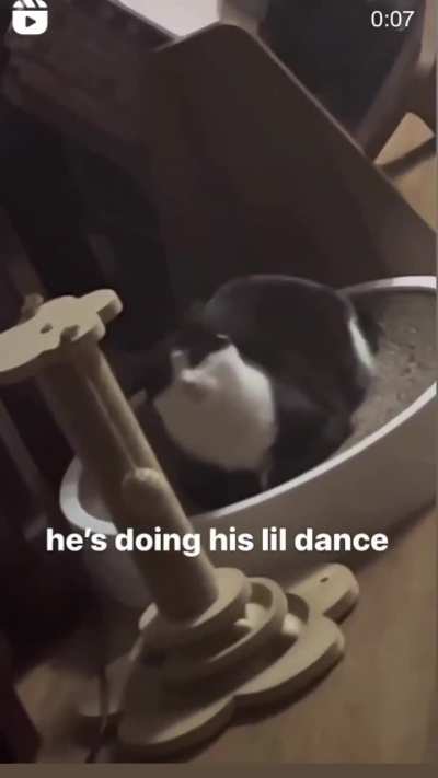 His little dance