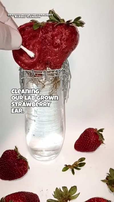 Lab Grown Fruit