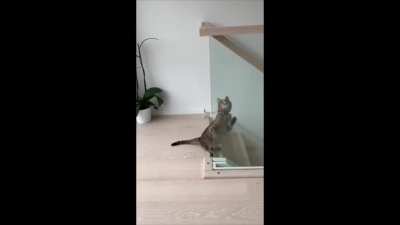 To climb up the wall