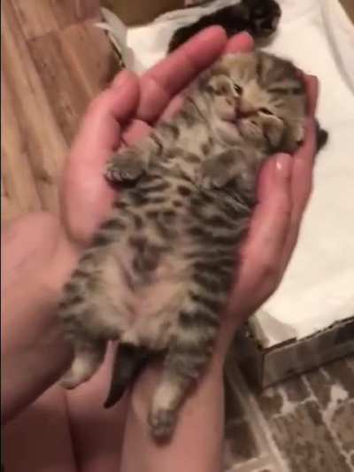 Okay. Good night, sleep tight, don't let the bed bugs bite?