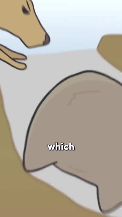 ARMOURED BUTT!! ?