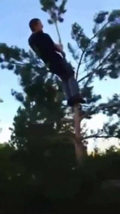Hold my beer while I climb climb this tree.