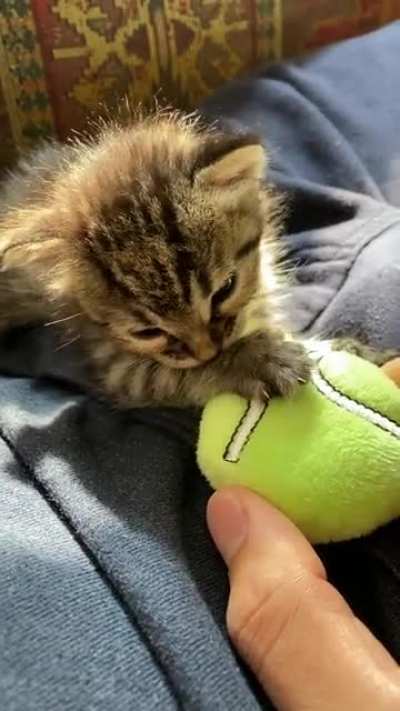 She’s sucking her thumb!