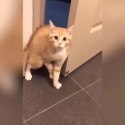 "I'm outta here!"