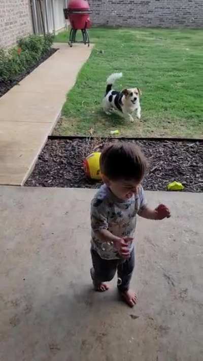 bubble zoomies