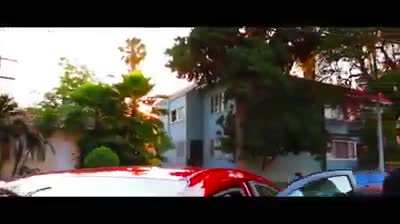 GTA in real LIFE ?