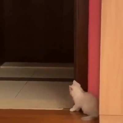to attack