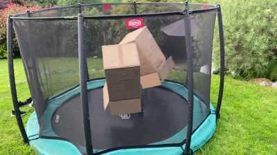 I’ve invented a new sport for my two boys to go pro in