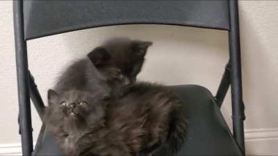 Siblings snuggles