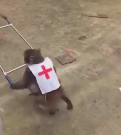 Ey Yo, What the fuck!