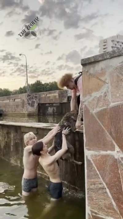 Down the drain