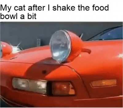 i am speed