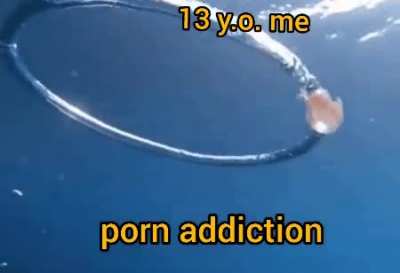 An interesting tiitle