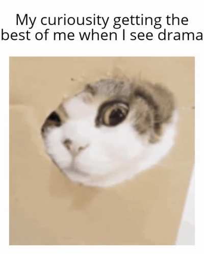"I am not a drama person but........"