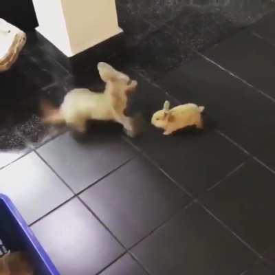 Don’t sneak up on me like that!