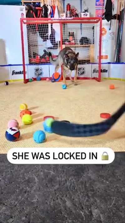 Taking "playing fetch" to next level.