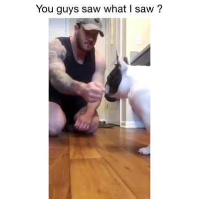 See his reaction ?