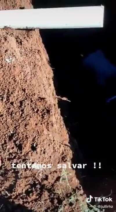 They tried save him