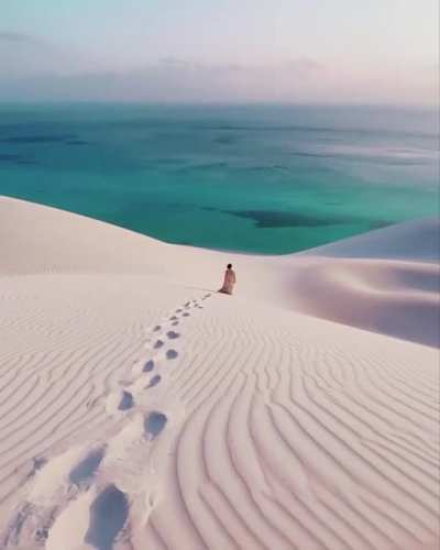 ? Socotra Island, Yemen