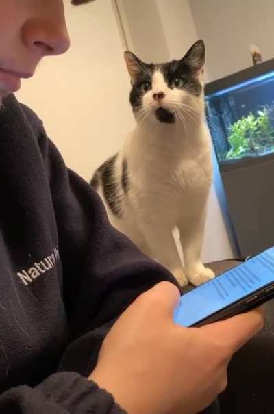 "More head boops please."