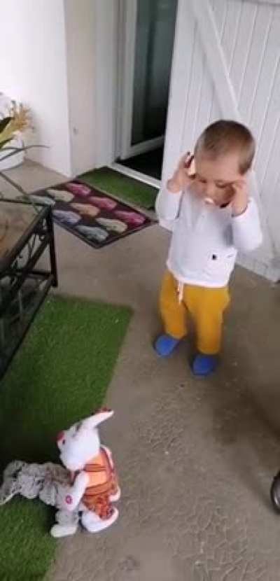 The very first time Billy's new rabbit meets his old rabbit