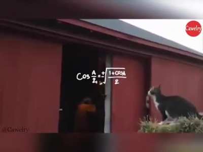 I believe I can fly. Or not.