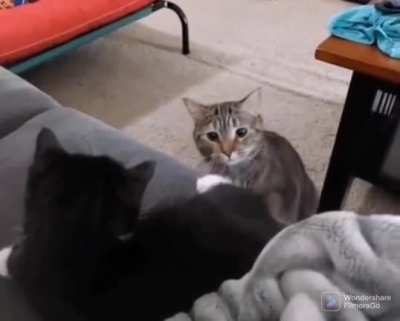You Stink!