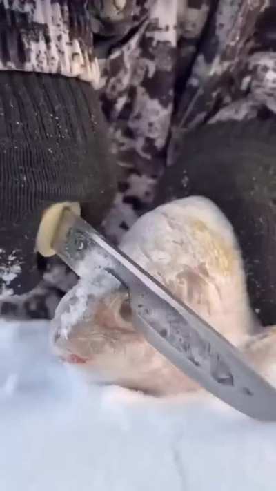 ???