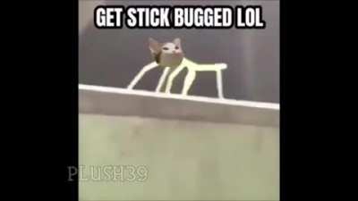 Pop Cat