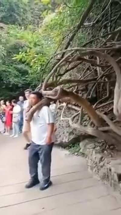 Photography gone wrong