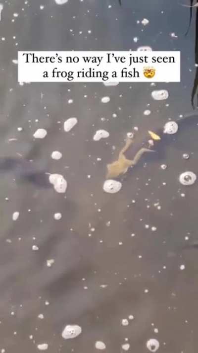 This pond has Uber