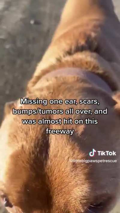 Positive side of Tiktok