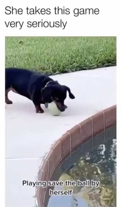 This dog loves being the savior