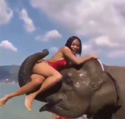 HMC as I sit on this elephant's trunk
