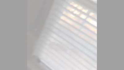 Bats Invading A Home. Videos are 1 week apart.