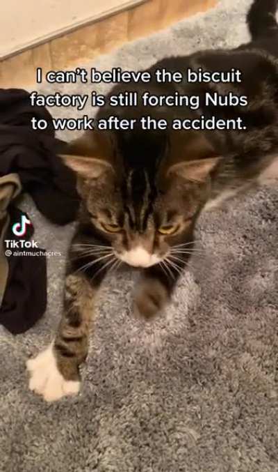 Doing his best
