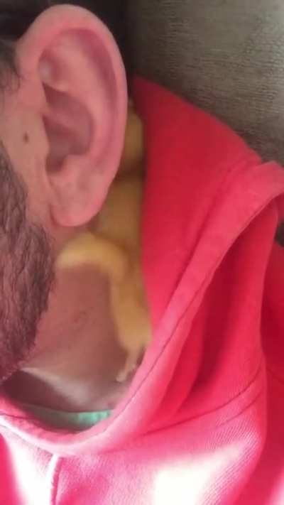 I think I’m a mum now