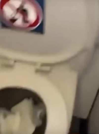 Toilet.. oh NO!
