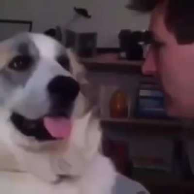 Your mom looks like a dog.