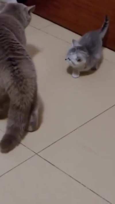 Taking revenge