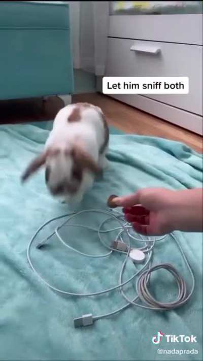 wow this actually works!