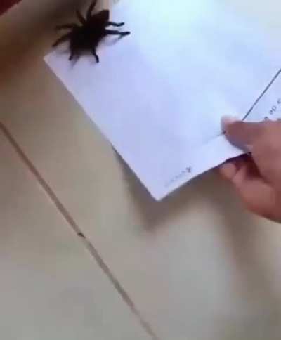 Maybe maybe maybe