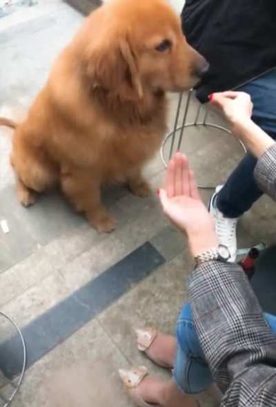 I'm done with you, human